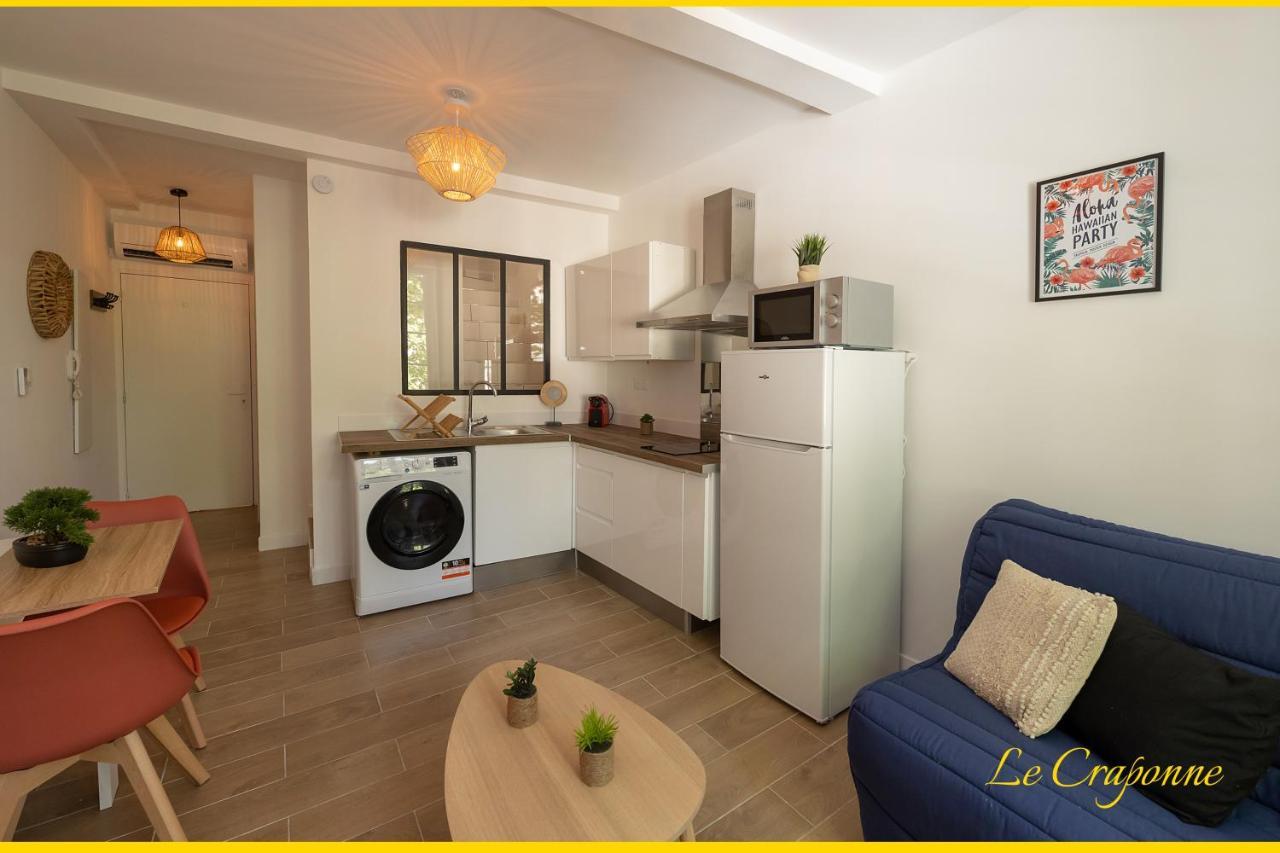 Le Craponne - Magnifique Appartement Cours Principal Plein Centre Avec Parking Salon-de-Provence Eksteriør bilde