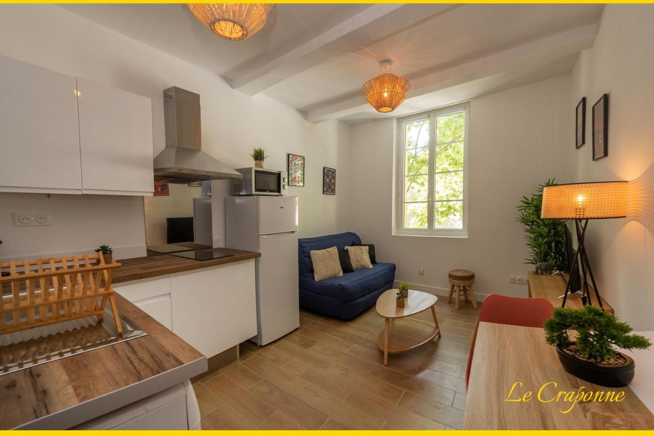 Le Craponne - Magnifique Appartement Cours Principal Plein Centre Avec Parking Salon-de-Provence Eksteriør bilde